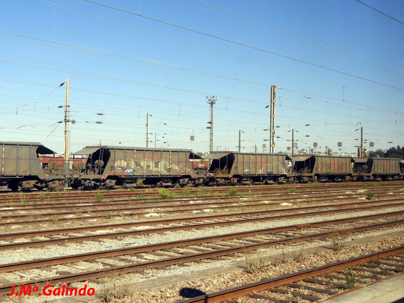 DSCN0791.jpg