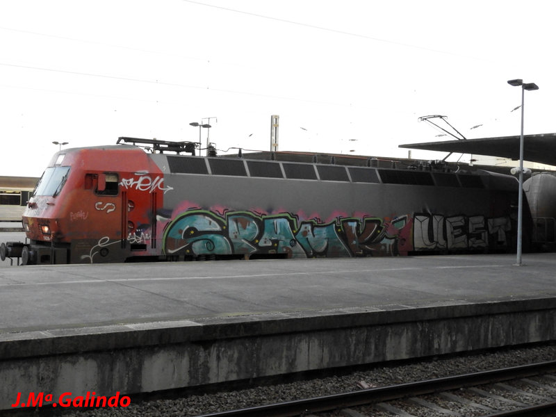 DSCN2039.jpg
