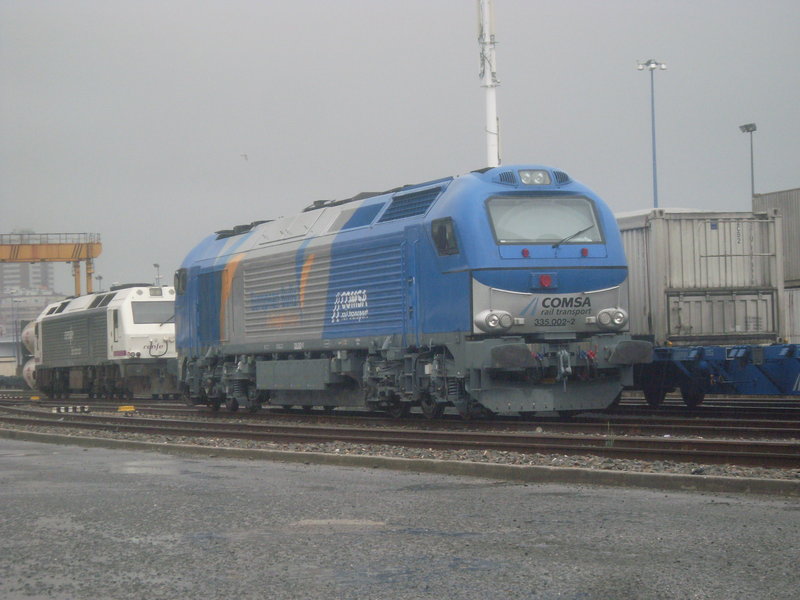 SL379338.JPG