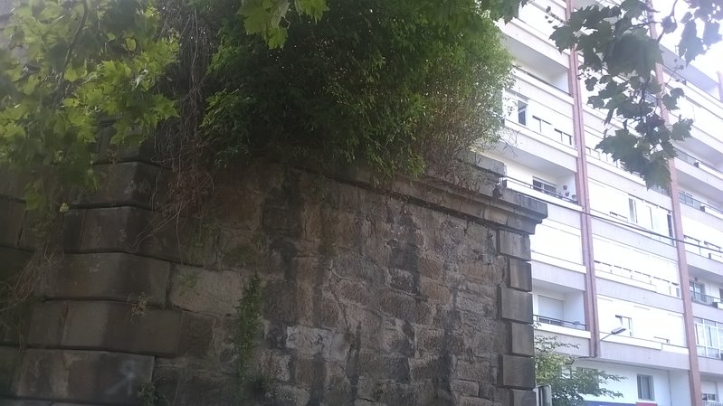 WP_20180916_19_12_14_Pro.jpg