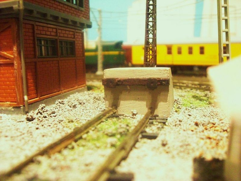 CIMG9591.JPG