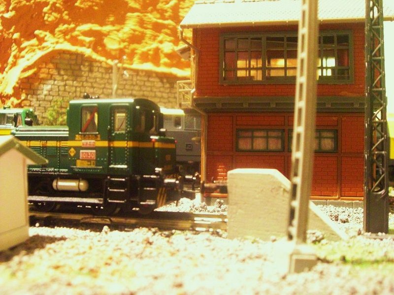 CIMG9594.JPG