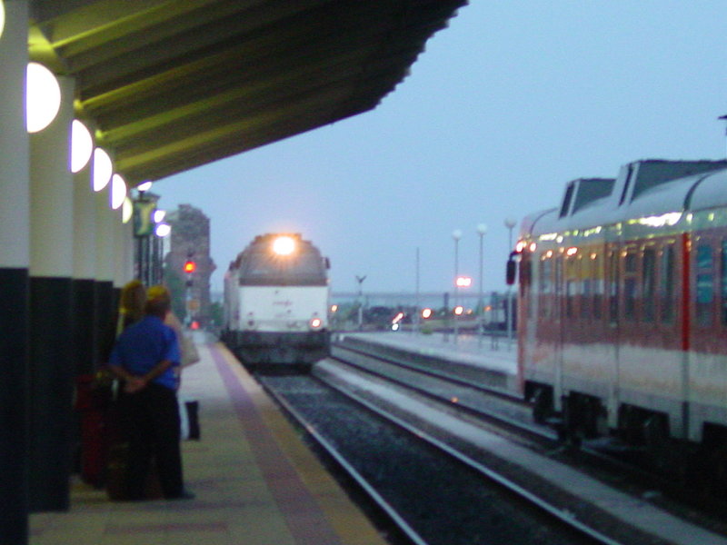 DSC06979.JPG