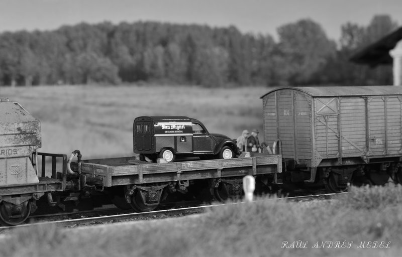 DSC_0940.jpg