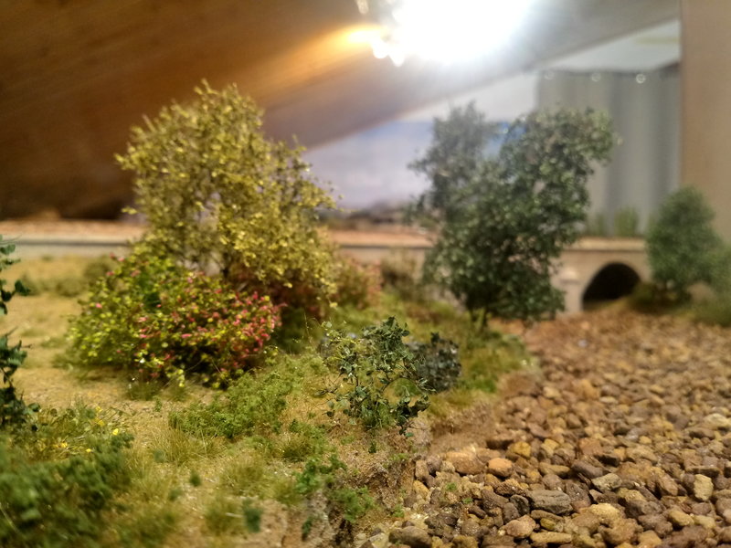 20181117_121636_HDR.jpg