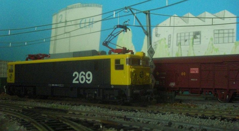 CIMG9650.JPG