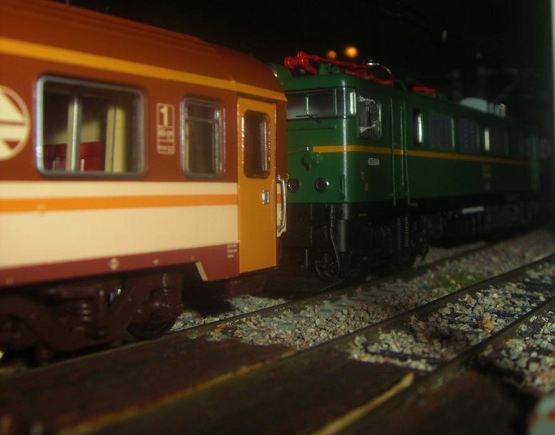 CIMG9678.JPG
