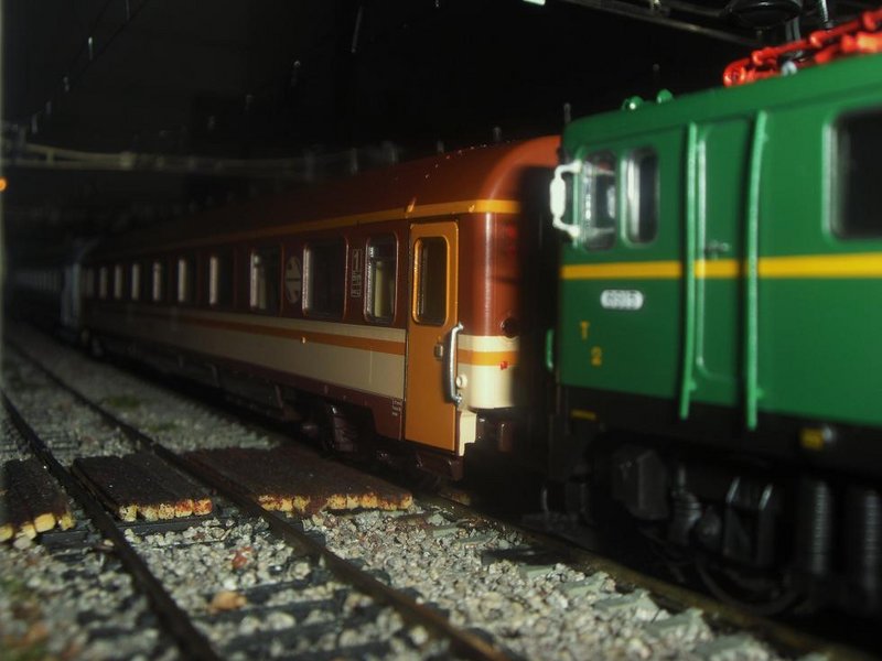 CIMG9676.JPG