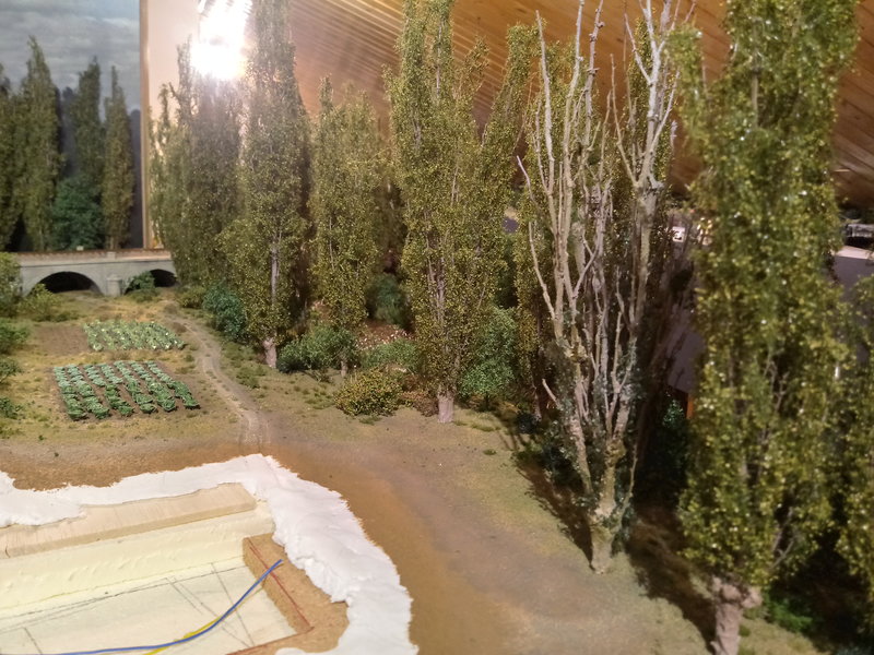 20181211_174539_HDR.jpg