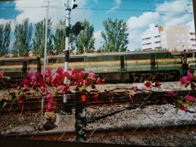 foto1.jpg