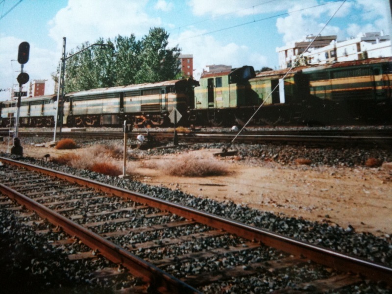foto2.jpg