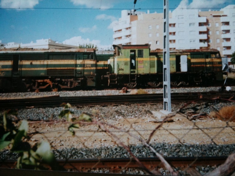 foto3.jpg