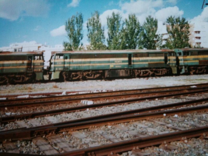 foto.jpg