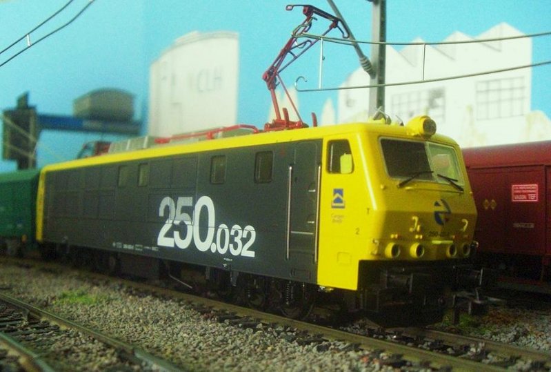 CIMG9707.JPG
