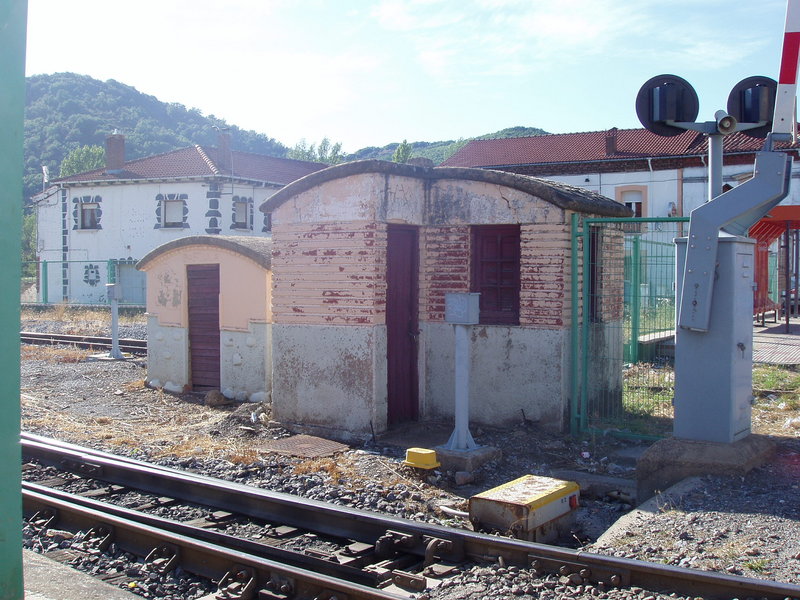 P8170154.JPG