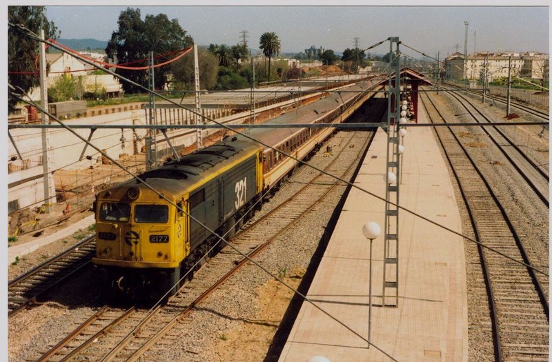 645.jpg