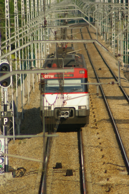 IMGP0429.jpg