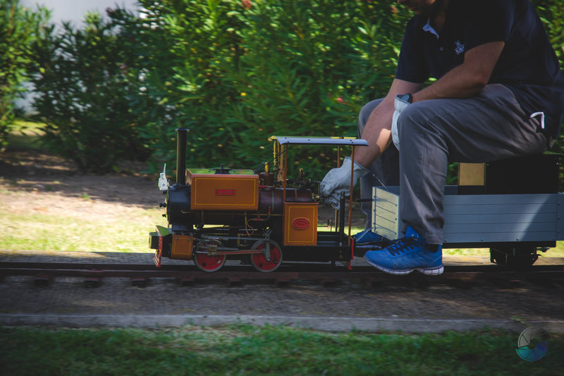 Visita locomotora Daisy 13-Octubre-2018 (11).jpg