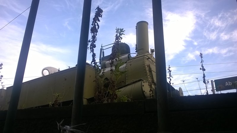 WP_20190126_16_21_31_Pro.jpg