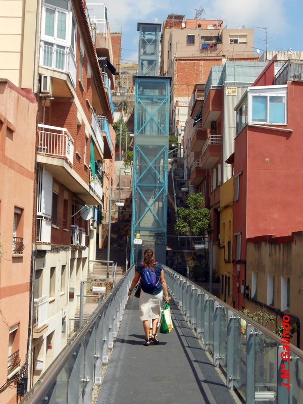 DSCN5932.jpg