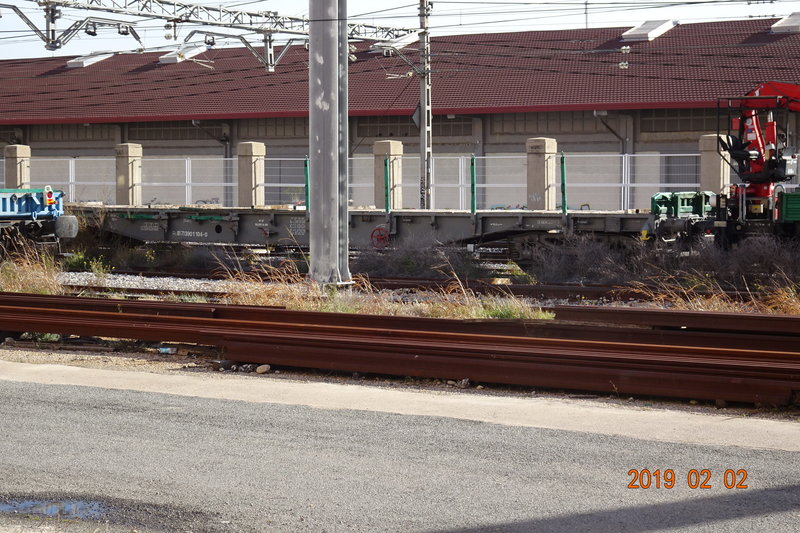 DSC01353.JPG