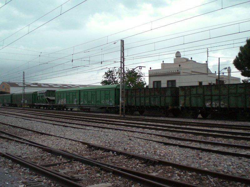 CIMG0395.JPG