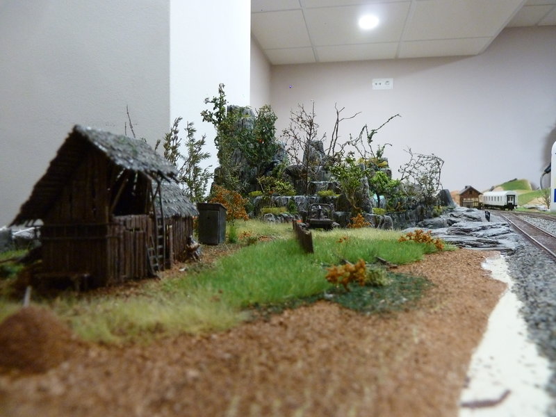 P1150116.JPG