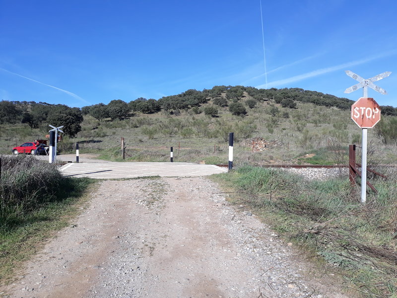 20190309_170358.jpg