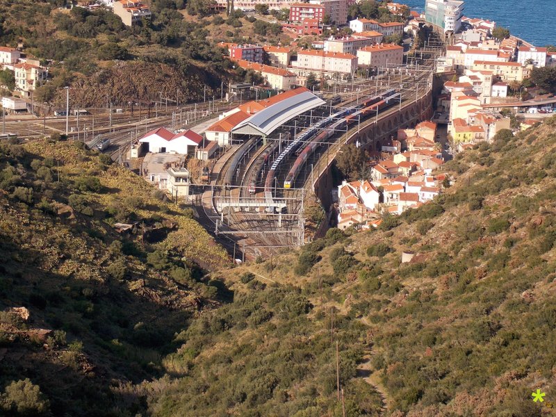 Cerbere I.jpg