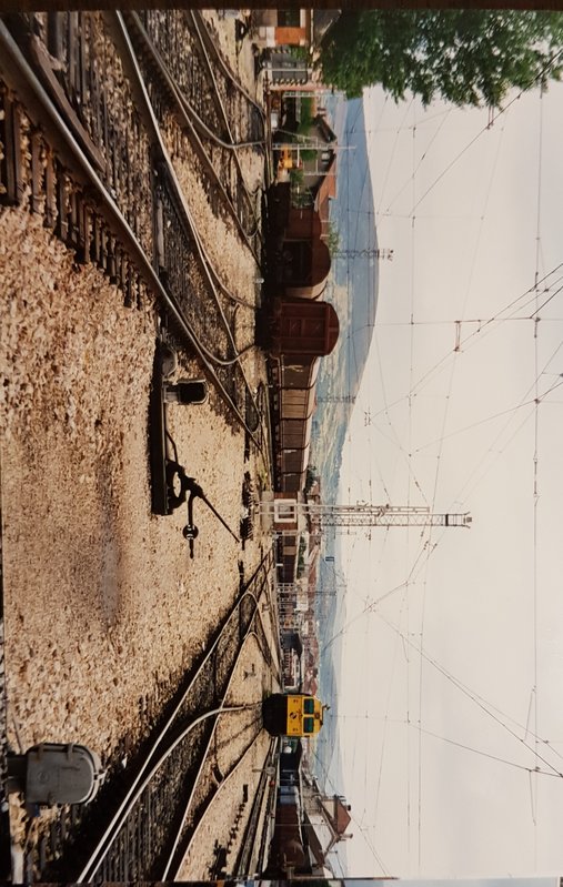 20190418_223449.jpg