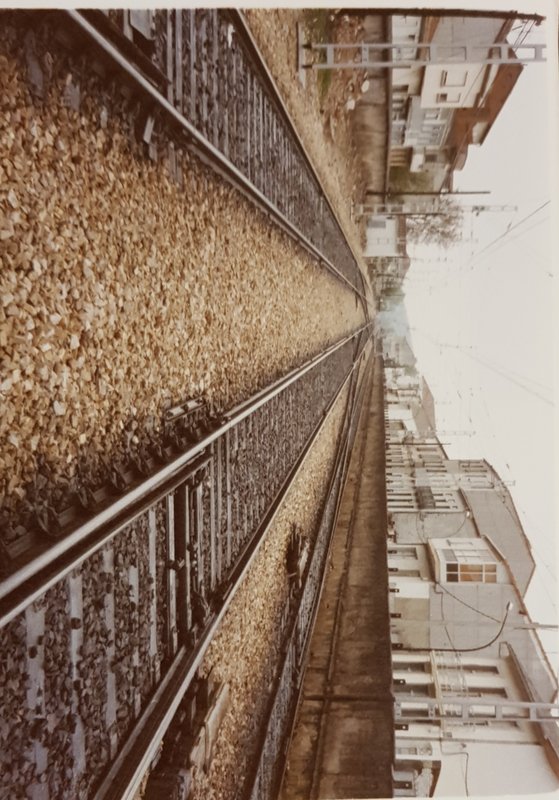 20190418_223702.jpg