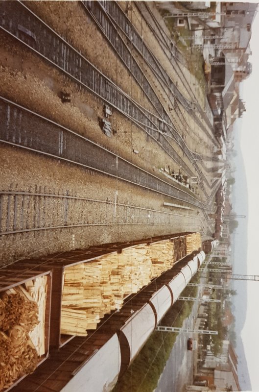 20190418_223716.jpg