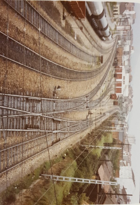 20190418_223639.jpg
