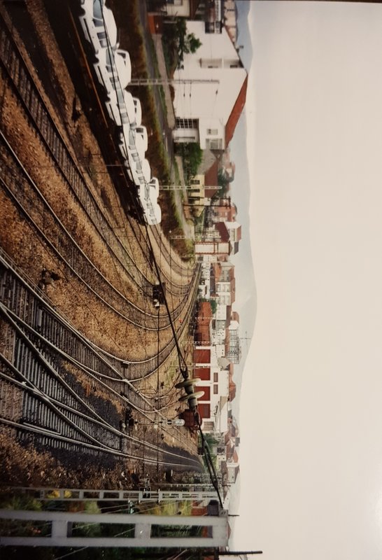 20190418_223332.jpg