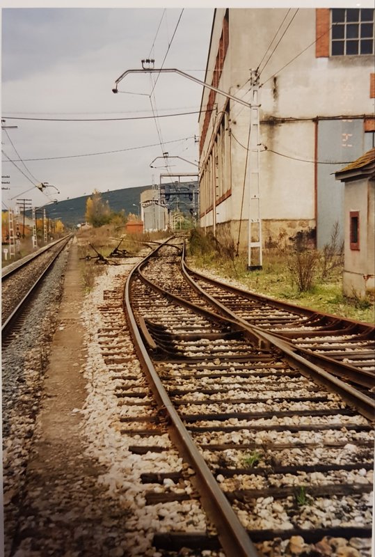 20190419_123737.jpg