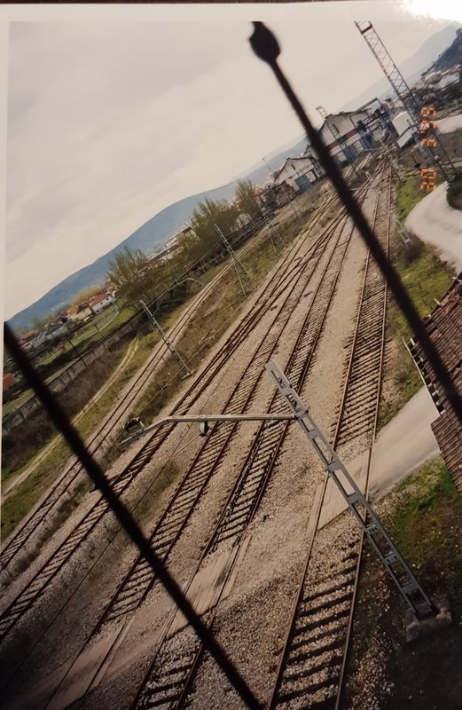 20190419_123658.jpg