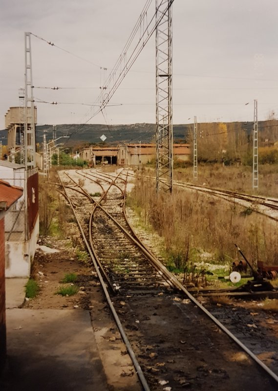 20190419_123620.jpg