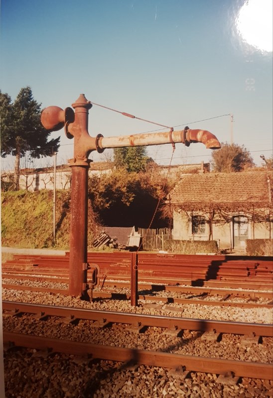 20190427_202058.jpg