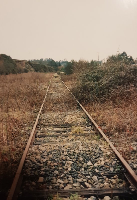 20190427_201705.jpg