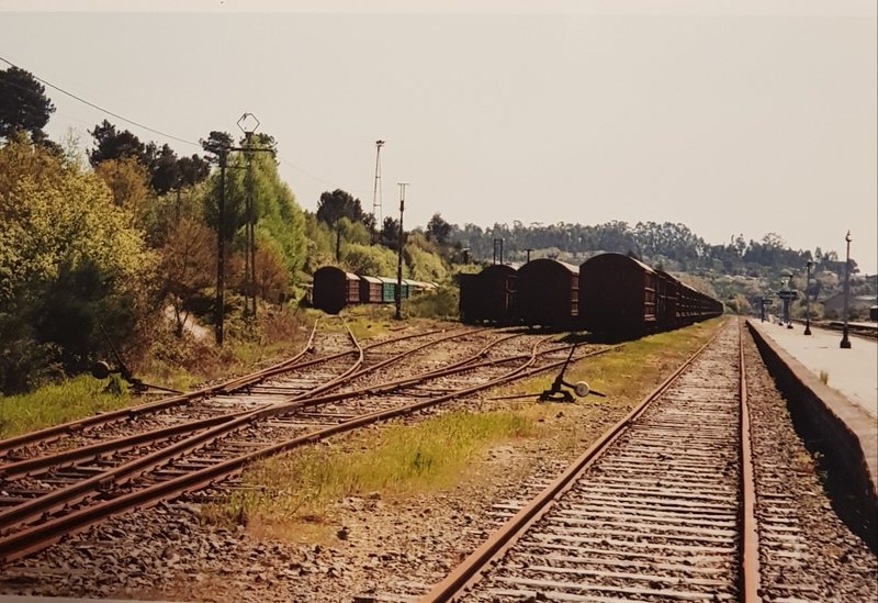 20190427_201913.jpg