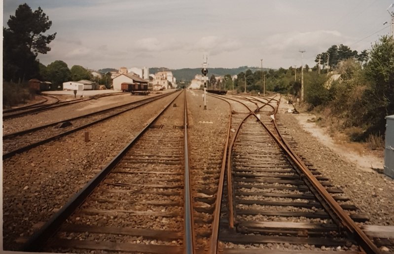20190427_201820.jpg