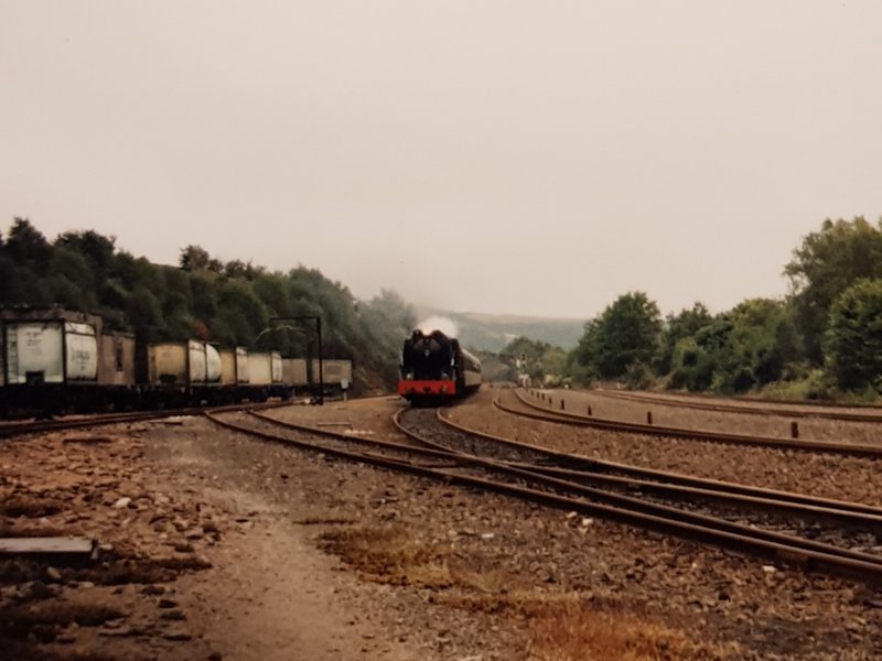 20190501_130153.jpg