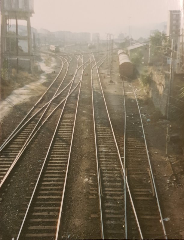 20190501_130024.jpg