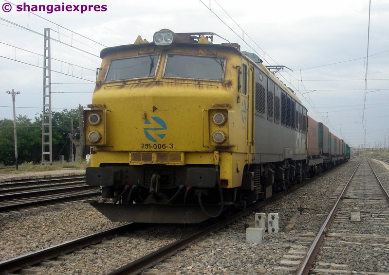 251 Tramesa.jpg
