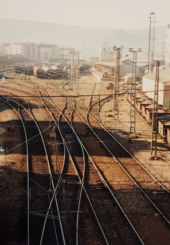 20190501_131021.jpg