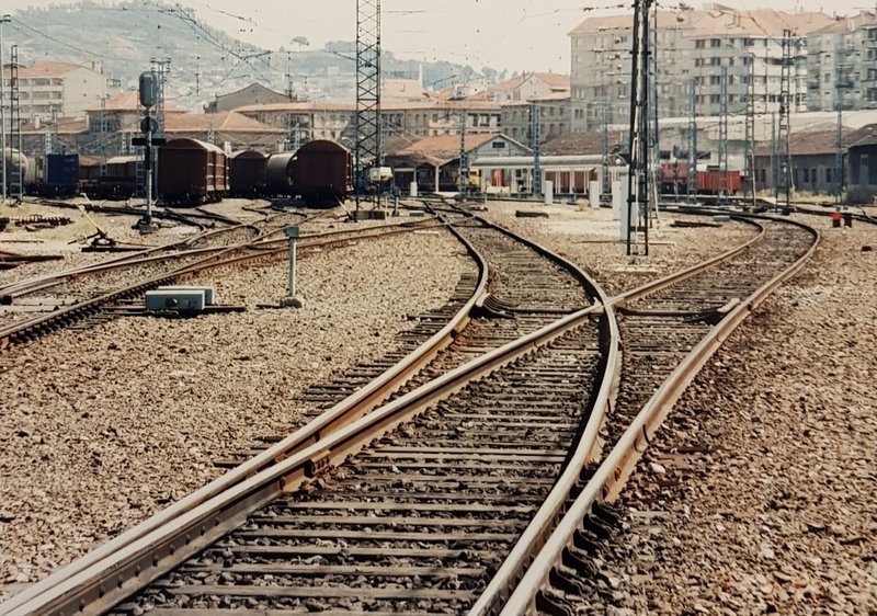 20190501_130723.jpg