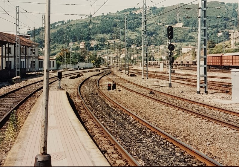 20190501_130602.jpg