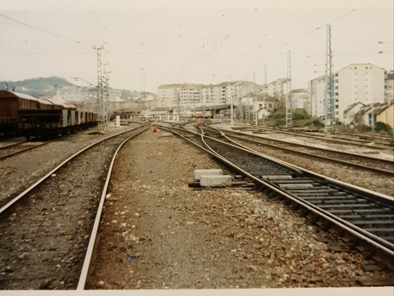 20190501_130239.jpg