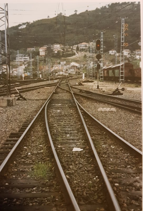 20190501_130219.jpg