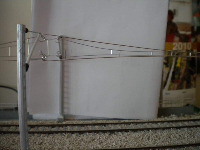 DSCN0531.JPG